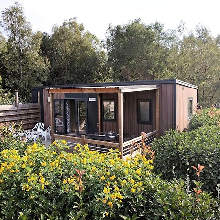 Camping Les Castors Calvi  Eksteriør billede