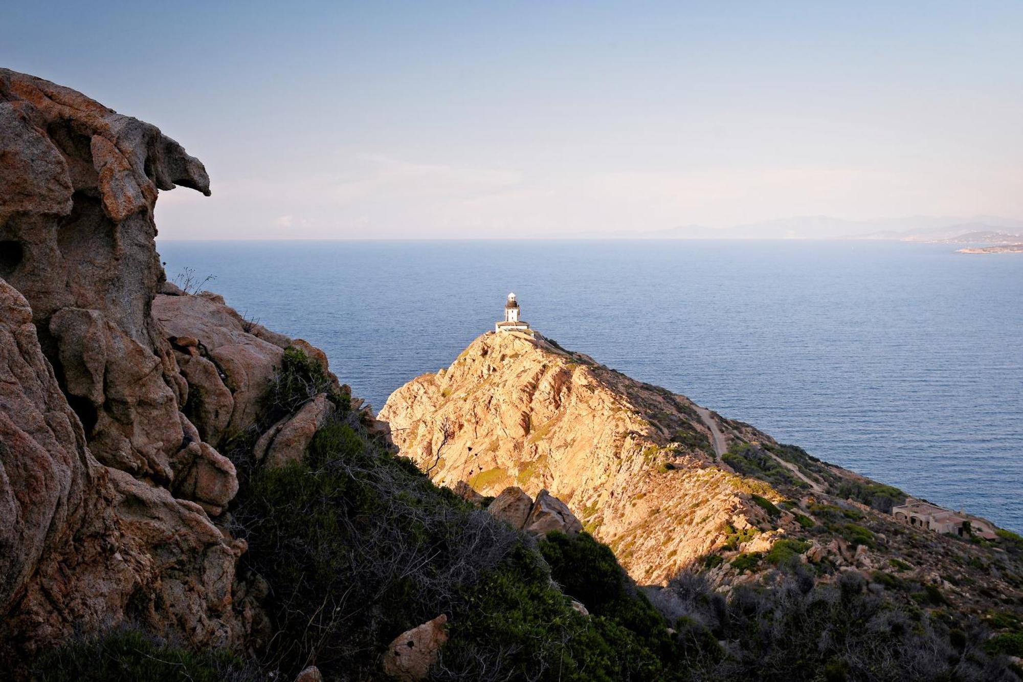 Camping Les Castors Calvi  Eksteriør billede