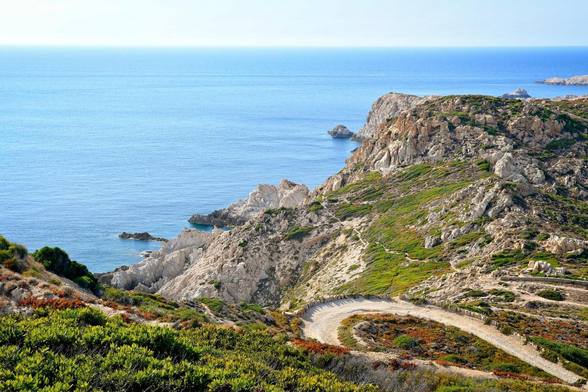 Camping Les Castors Calvi  Eksteriør billede