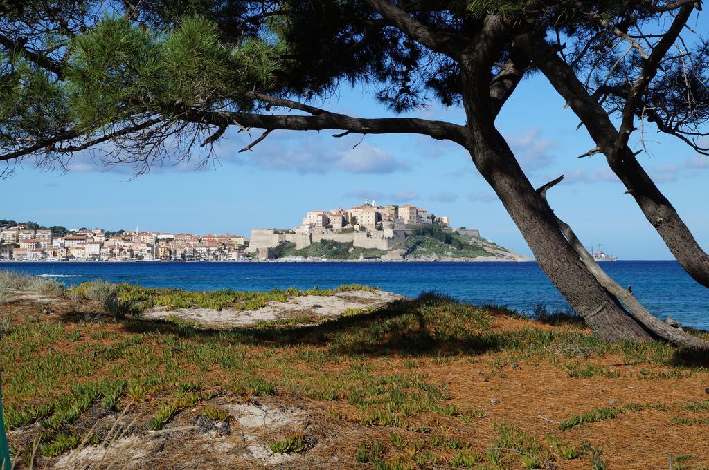 Camping Les Castors Calvi  Eksteriør billede
