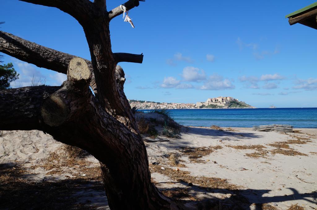 Camping Les Castors Calvi  Eksteriør billede