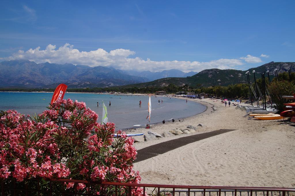 Camping Les Castors Calvi  Eksteriør billede